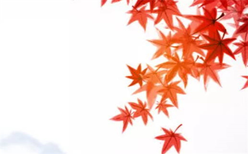 2028年农历二月初二动土好吗 宜建筑房屋吉日查询