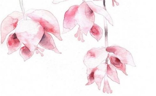 2027年农历二月十九是不是动土吉日 今日动土好不好