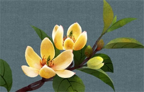 2029年03月04日动土黄道吉日 今日动土好吗