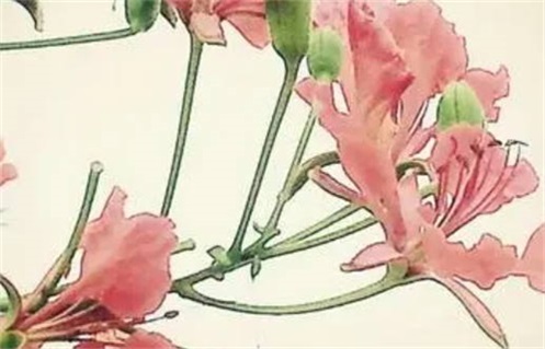 2031年09月09日动土好不好 是动土修造好日子吗