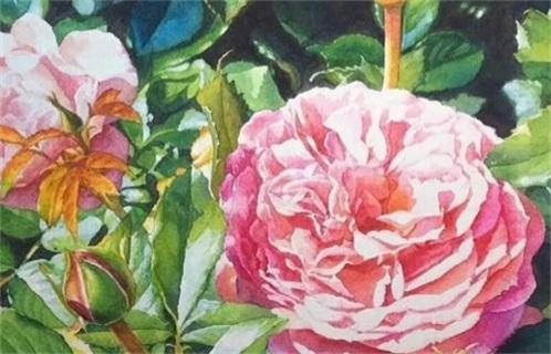 2036年07月09日是动土好日子吗 是动土修造好日子吗