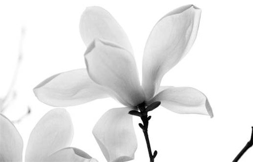 2026年农历腊月十六动土日子如何 宜建筑房屋吉日查询