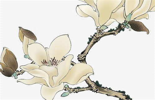 2027年农历腊月二十动土日子如何 是动土好日子吗