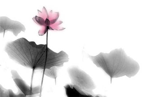 2031年03月27日动土黄道吉日 今日动土好不好