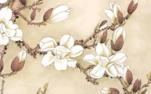 2027年02月17日动土吉日查询 是动土建房好日子吗