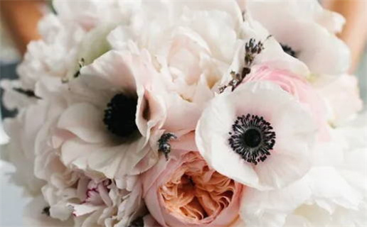 2031年11月20日是结婚好日子吗 是办婚礼好日子吗