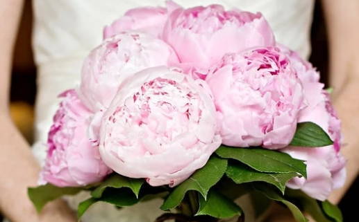 2029年10月21日结婚黄道吉日 宜办喜事吉日查询