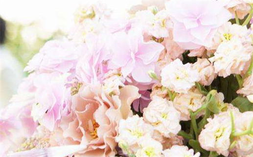 2031年02月05日是不是结婚吉日 今日办婚礼好吗 2031年02月05日是不是结婚吉日 今日办婚礼好吗