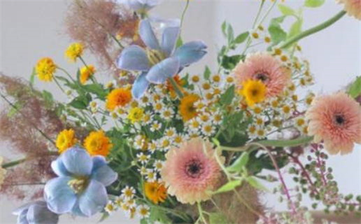 2027年01月10日结婚黄道吉日 适不适合办喜事