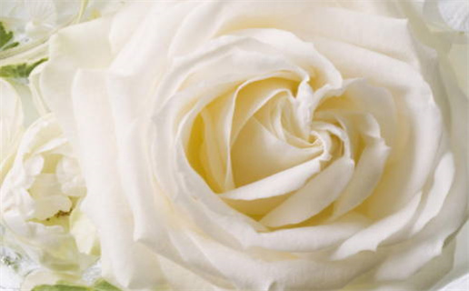 2028年07月09日结婚好不好 宜办婚礼吉日查询