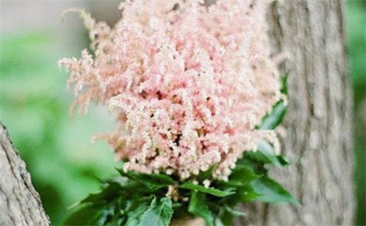 2035年农历三月廿六是结婚好日子吗 是办喜事好日子吗