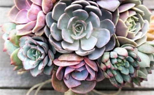 2037年05月18日结婚好吗 宜办婚礼吉日查询