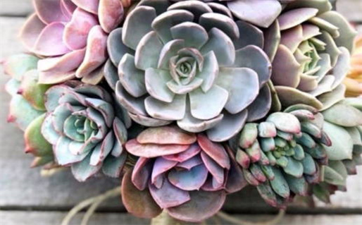 2032年01月03日是不是结婚吉日 宜办婚礼吉日查询