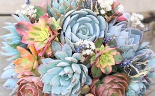 2027年农历十月初五是不是结婚吉日 适不适合办婚礼