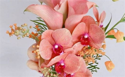 2028年11月24日结婚好不好 今日办婚礼好吗