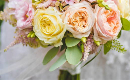 2028年农历八月廿八是不是领证吉日 今日登记领证好吗