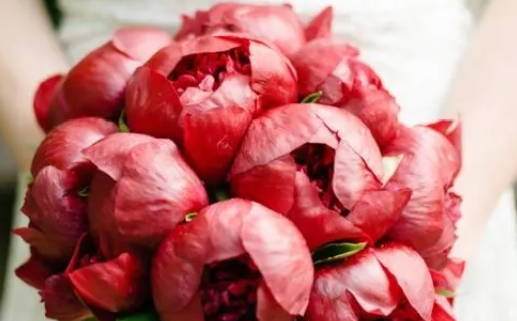 2029年农历十月廿一领证吉日查询 是登记结婚好日子吗