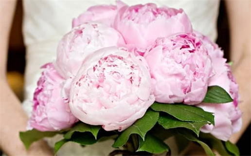 2032年08月18日领证吉日查询 宜领证结婚吉日查询