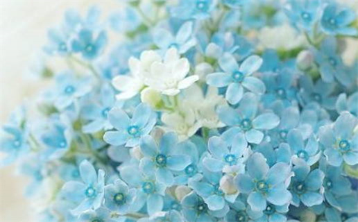 2026年02月04日领证黄道吉日 登记领证吉利吗