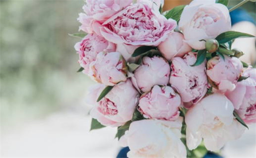 2026年农历腊月初六是领证好日子吗 宜领证吉日查询