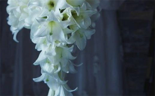 2039年04月23日是领证好日子吗 宜领证吉日查询