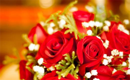 2031年农历三月十七领证日子如何 宜领证吉日查询