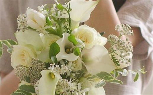 2032年01月11日领证日子如何 今日登记领证好吗