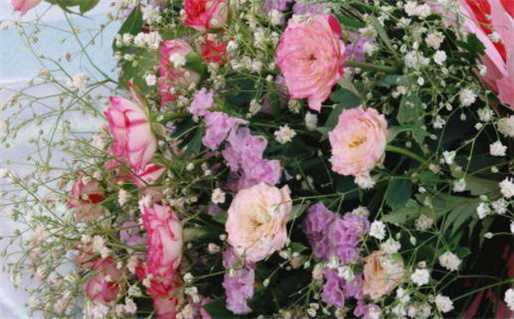 2029年农历十月十三领证吉日查询 今日领证结婚好吗