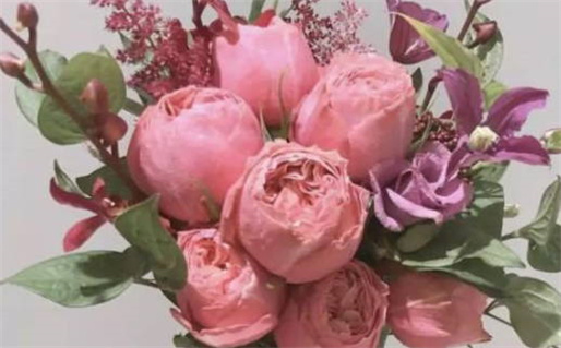 2026年农历正月十三是领证好日子吗 是登记领证好日子吗