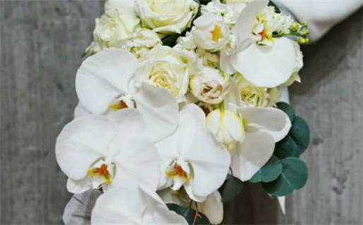 2026年08月30日领证好不好 登记结婚吉利吗