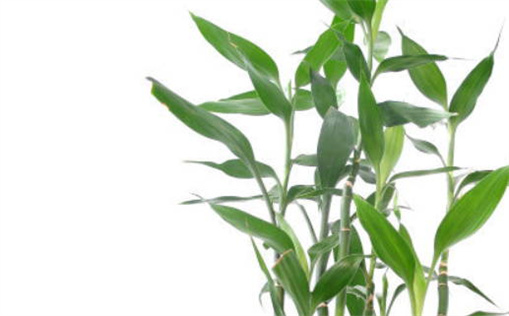 2031年农历九月十九乔迁吉日查询 今日乔迁好不好