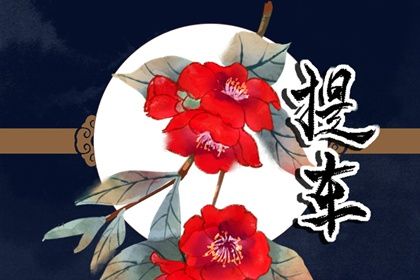 2029年12月25日是提车好日子吗 今日提车买车好不好