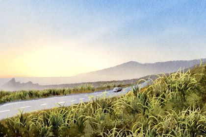 2029年11月25日是不是提车吉日 宜提车吉日查询