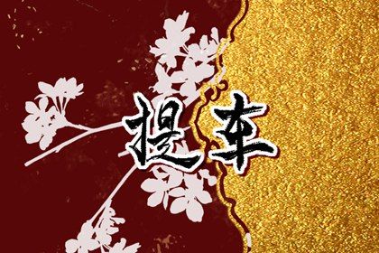 2026年农历六月初十是不是提车吉日 今日提新车好不好