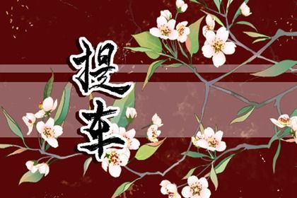 2029年05月17日提车日子如何 今日提新车好不好