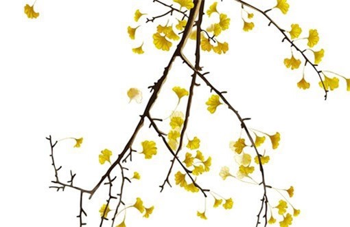 2030年农历正月十七是不是装修吉日 是装潢房子好日子吗