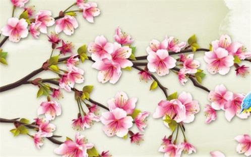 2026年01月19日装修好吗 今日装修新房好不好