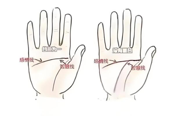 八字从哪开始断掌的命格 八字命格的断掌起始点