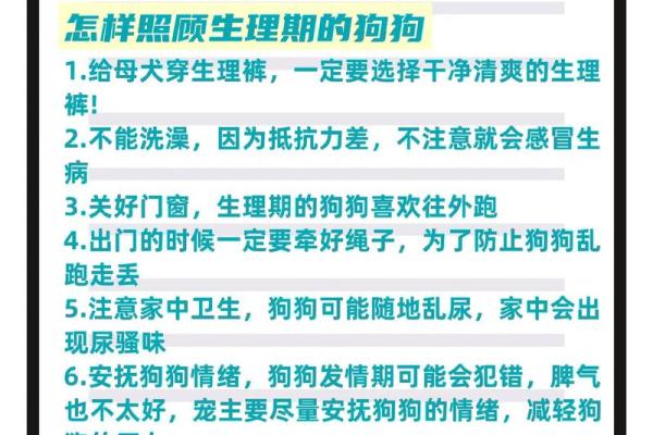 八字不适合养狗怎么解命,如何破解八字不宜养狗的命理