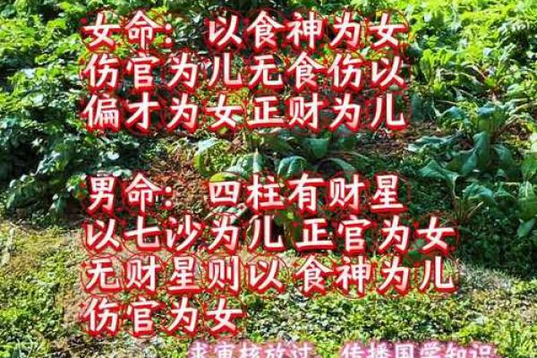 八字纯阴女火命人,八字全阴女性火命解析