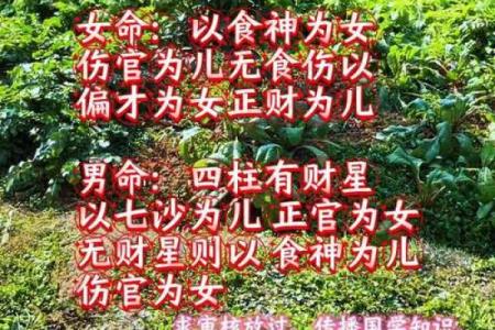 八字纯阴女火命人,八字全阴女性火命解析